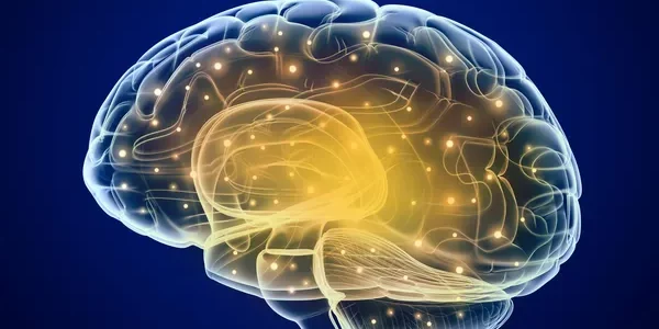 le cerveau, cet outil incroyable